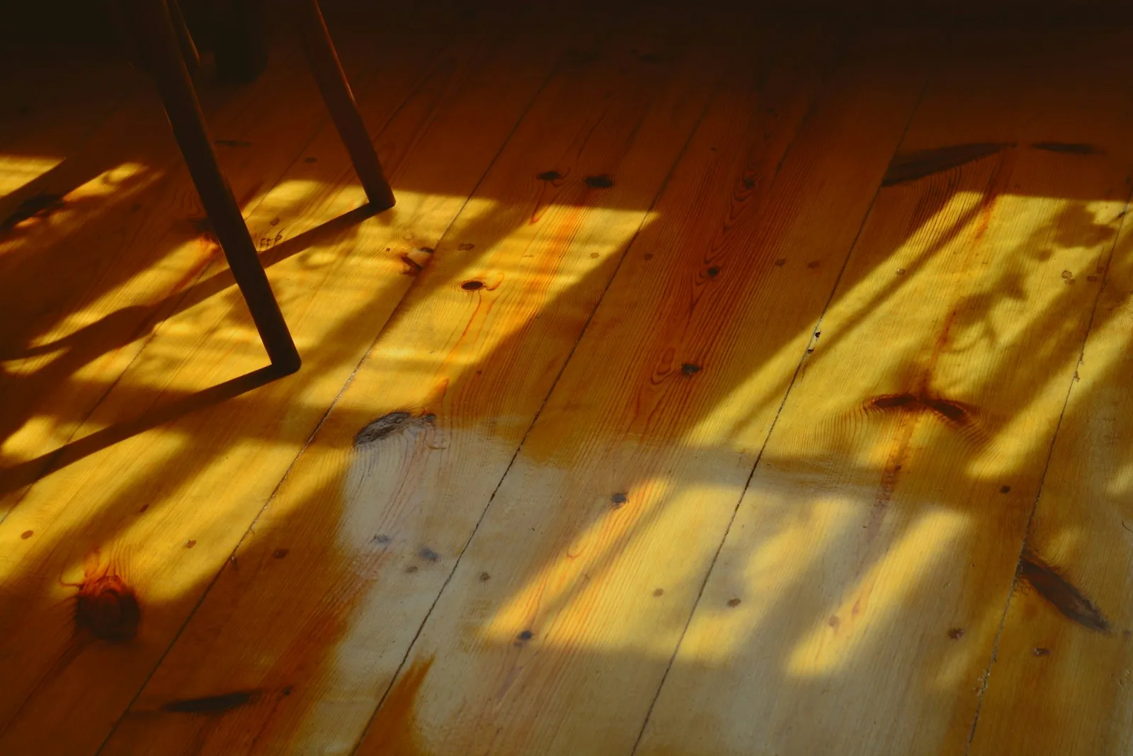 Low sun raking across an old heart pine floor