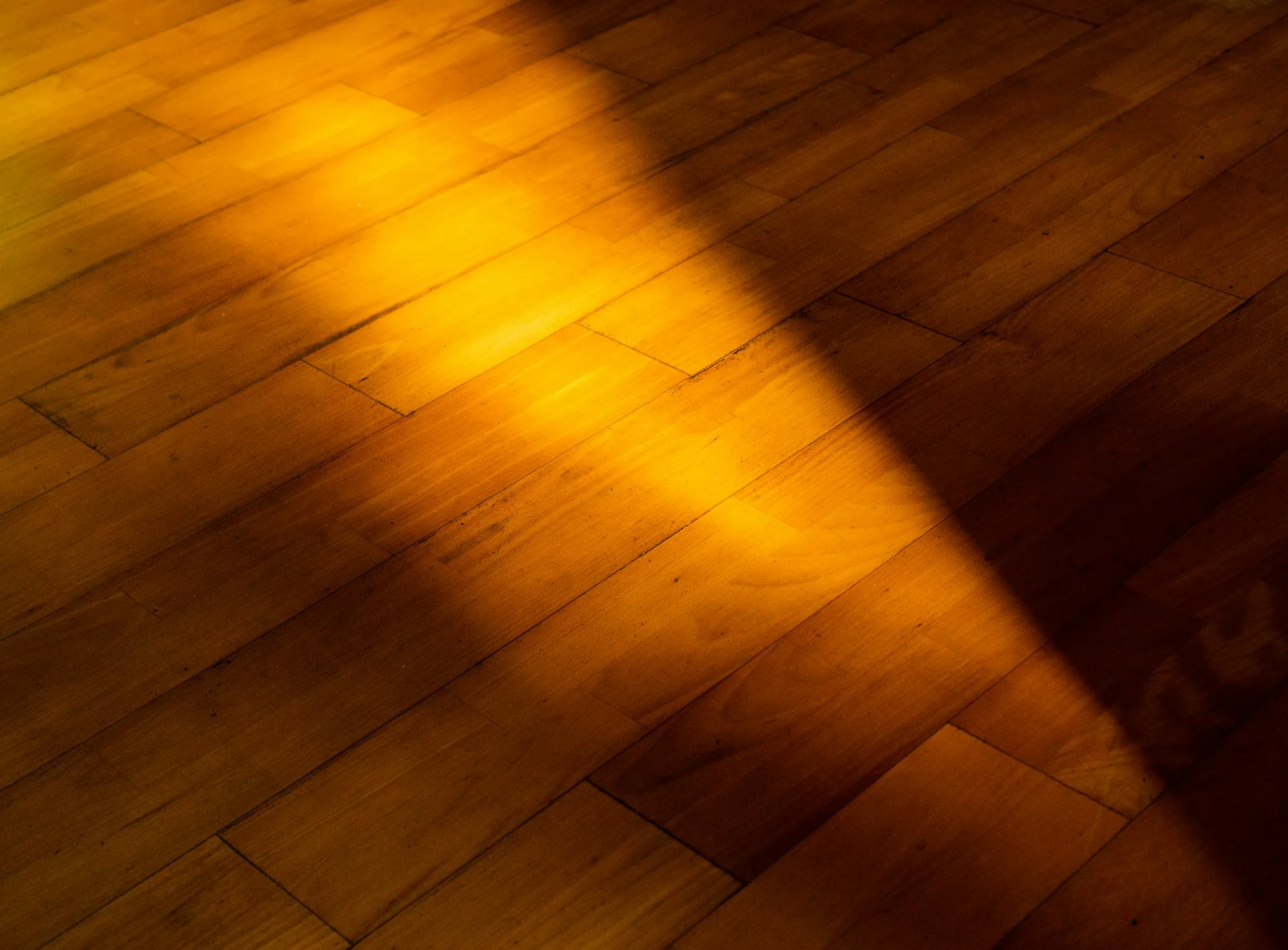 Late afternoon light raking across a finished wide-plank wood floor